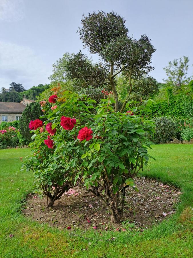Gite 2 "Le Tilia " Aux Magnolias 3 Etoiles Aubenas Eksteriør bilde